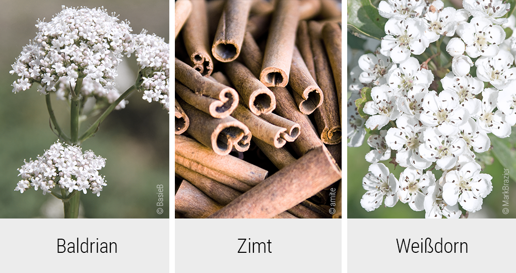 Dreigeteiltes Foto: Links Baldrian, mittig Zimt und rechts Weißdorn; jeweils mit der dazu passenden Bildunterschrift.